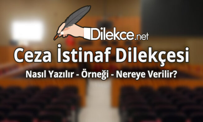Ceza İstinaf Dilekçesi img