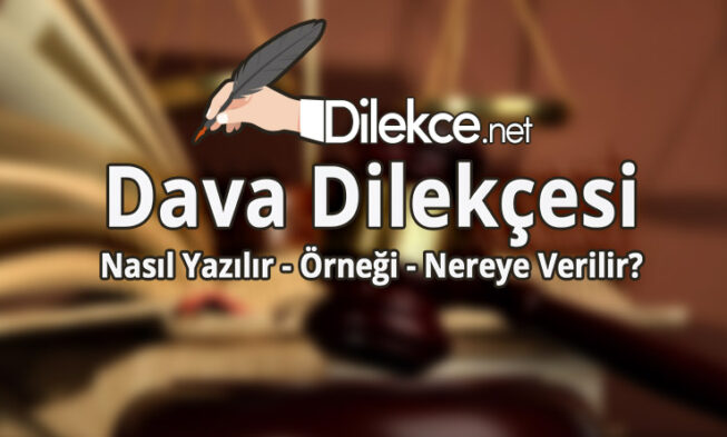 Dava Dilekçesi img