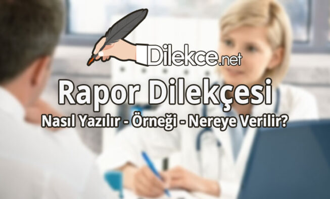 Rapor Dilekçesi img