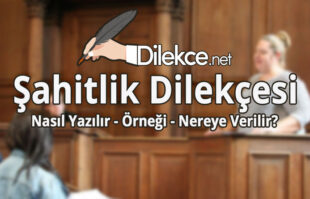 Şahitlik Dilekçesi img