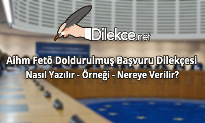 Aihm Fetö Doldurulmuş Başvuru Örneği img