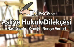 Asliye Hukuk Dilekçesi img