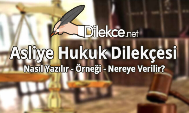 Asliye Hukuk Dilekçesi img