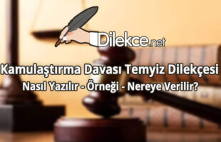 Kamulaştırma Davası Temyiz Dilekçesi img