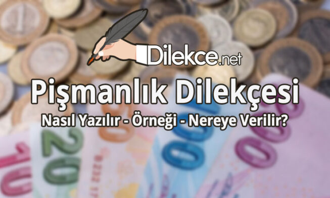 Pişmanlık Dilekçesi img