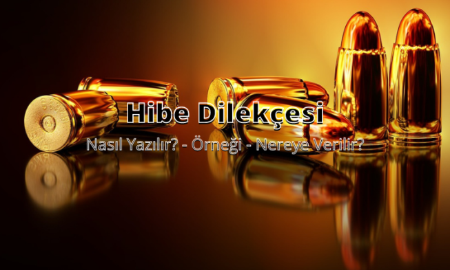 Hibe Dilekçesi img