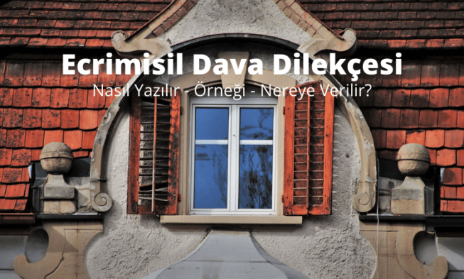 Ecrimisil Dava Dilekçesi img