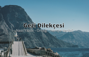 Gezi Dilekçesi img
