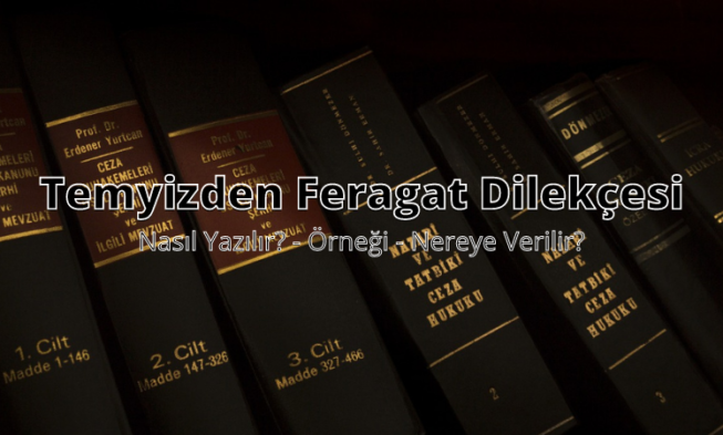 Temyizden Feragat Dilekçesi img