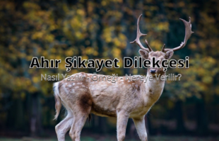 Ahır Şikayet Dilekçesi img