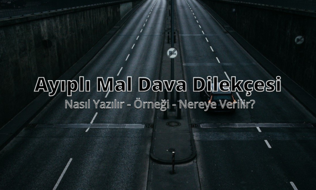 Ayıplı Mal Dava Dilekçesi img