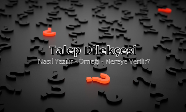 Talep Dilekçesi img