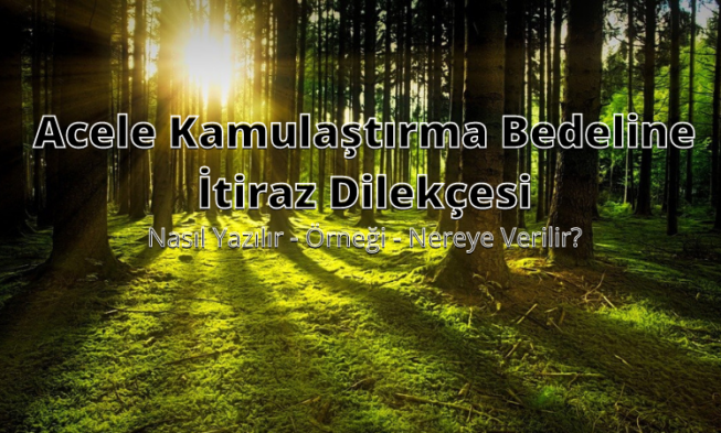 Acele Kamulaştırma Bedeline İtiraz Dilekçesi img