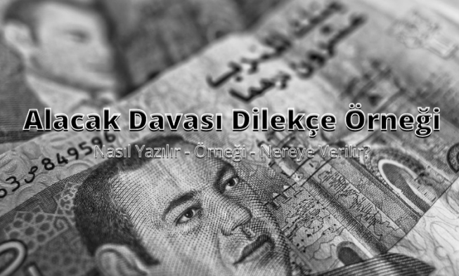 Alacak Davası Dilekçesi img
