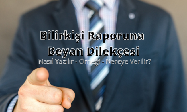 Bilirkişi Raporuna Beyan Dilekçesi img