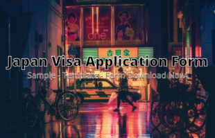Japan Visa Application Form ⏬👇 img