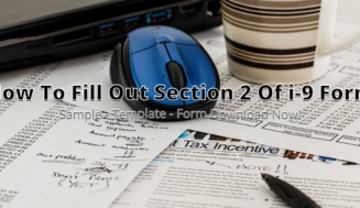 How To Fill Out Section 2 Of i-9 Form ⏬ð