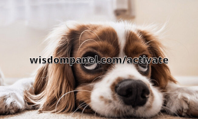 Wisdompanel.com/activate ⏬👇 img