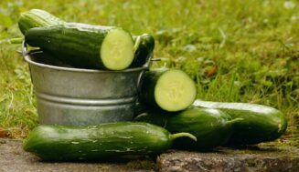 Why Do Cucumbers Make You Burp? ⏬